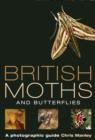 Image for British moths and butterflies  : a photographic guide