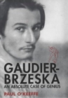 Image for Gaudier-Brzeska - An Absolute Case of Genius