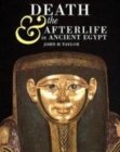 Image for DEATH AND THE AFTERLIFE IN ANCIENT EGYP