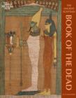 Image for The ancient Egyptian Book of the dead