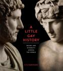 Image for A little gay history  : desire and diversity across the world