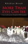 Image for More than eyes can see: a nine-month journey through the AIDS pandemic