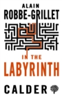 Image for In the labyrinth