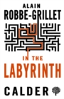 Image for In the Labyrinth