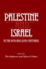 Image for Palestine and Israel in the 19th and 20th Centuries