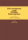 Image for Government and Public Enterprise
