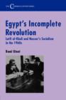Image for Egypt&#39;s Incomplete Revolution