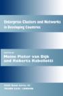 Image for Enterprise Clusters and Networks in Developing Countries
