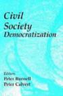 Image for Civil Society in Democratization