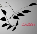 Image for Calder  : gravity and grace