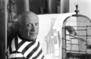 Image for Pablo Picasso, Villa la Californie, Cann : Rene Burri Photographs