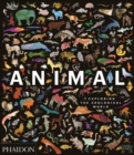 Image for Animal  : exploring the zoological world