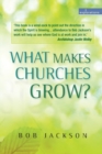 Image for What is making churches grow?  : vision and practice in effective mission