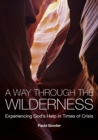 Image for Way Through the Wilderness: Experiencing God&#39;s Help in Times of Crisis