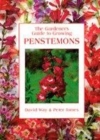 Image for The gardener&#39;s guide to growing penstemons