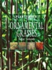 Image for The plantfinder&#39;s guide to ornamental grasses