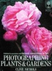 Image for Photographing Plants and Gardens