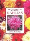 Image for The gardener&#39;s guide to growing dahlias