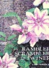 Image for Ramblers, scramblers &amp; twiners  : high-performance climbing plants &amp; wall shrubs