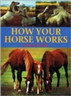 Image for How your horse works