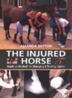 Image for The injured horse  : hands-on methods for managing and treating injuries