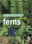 Image for Gardening with ferns