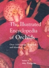 Image for The Encyclopedia of Orchids