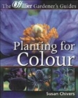 Image for Planting for colour