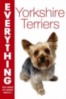 Image for Everything you need to know about Yorkshire terriers