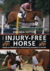 Image for The injury-free horse  : hands-on methods for maintaining soundness &amp; health