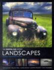 Image for Landscapes  : essential advice from top pros