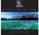 Image for Waiting for the Light