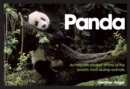 Image for Panda: an intimate portrait of one of the world&#39;s most elusive animals