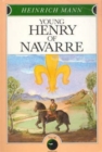 Image for Young Henry of Navarre
