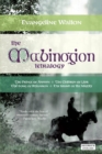 Image for The Mabinogion tetralogy