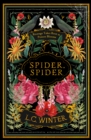 Image for Spider, Spider