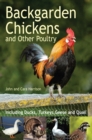 Image for Backgarden chickens and other poultry