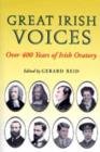 Image for Great Irish Voices
