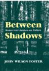 Image for Between shadows  : modern irish writing and culture