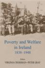 Image for Poverty and Welfare in Ireland 1838-1948