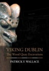 Image for Viking Dublin : The Wood Quay Excavations