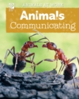 Image for Animals Communicating