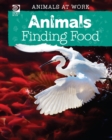 Image for Animals Finding Food