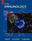 Image for Kuby Immunology