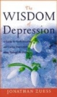 Image for The wisdom of depression  : a guide to understanding and curing depression using natural medicine