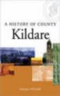 Image for A History of County Kildare