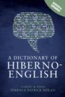 Image for A dictionary of Hiberno-English