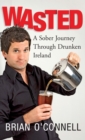 Image for Wasted: a sober journey through drunken Ireland