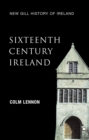 Image for Sixteenth-century Ireland: the incomplete conquest