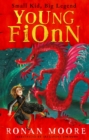 Image for Warrior  : the boyhood of Fionn